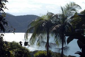 Ilha Grande 2010_211r.jpg